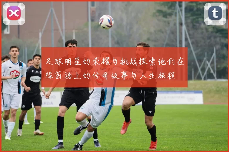 足球明星的荣耀与挑战探索他们在绿茵场上的传奇故事与人生旅程