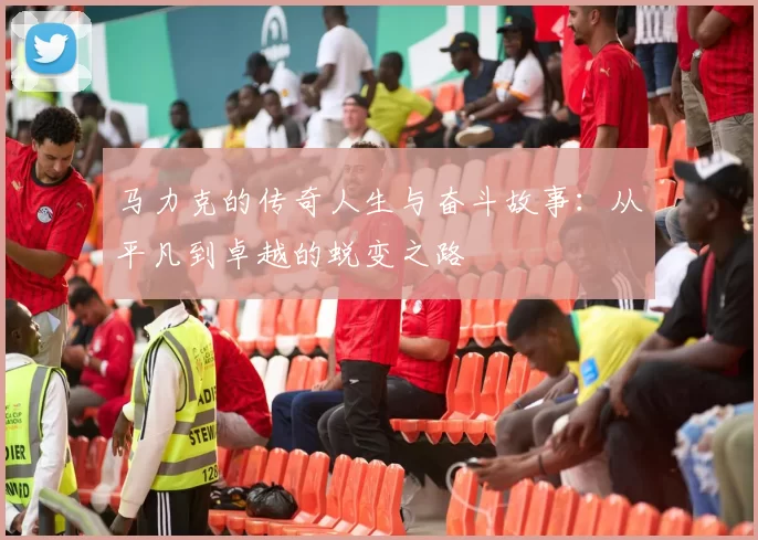 马力克的传奇人生与奋斗故事：从平凡到卓越的蜕变之路